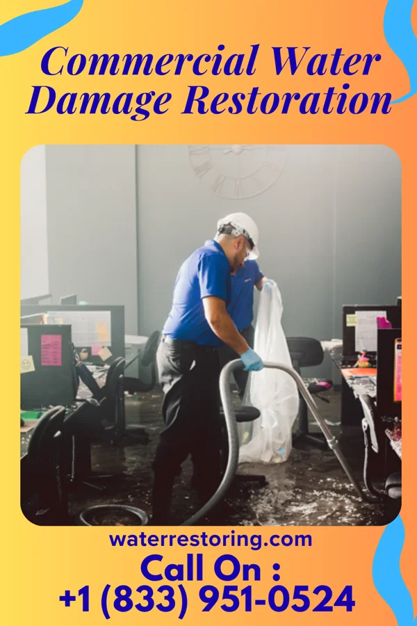 Commercial Water Damage Restoration in Taylor, AZ