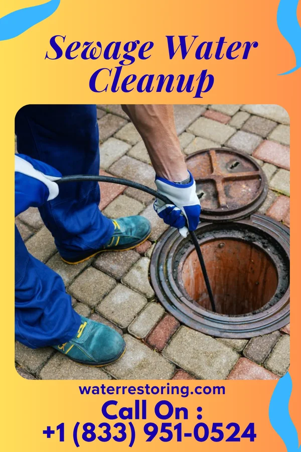 Sewage Water Cleanup in Taylor, AZ